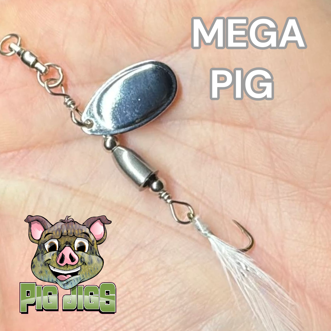 1/10 OZ TUNGSTEN "SWINE IN LINE"