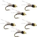 Beadhead Black 3 Dollar Dip Serendipity Wet Fly Fishing Flies - 6 Flies Hook Size 18