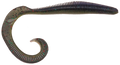 Megatail Rattlesnake