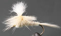 Parachute Light Cahill