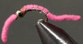 BH Silver Belly Worm - Pink