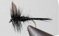 Black Gnat - Black Tail or Red Tail