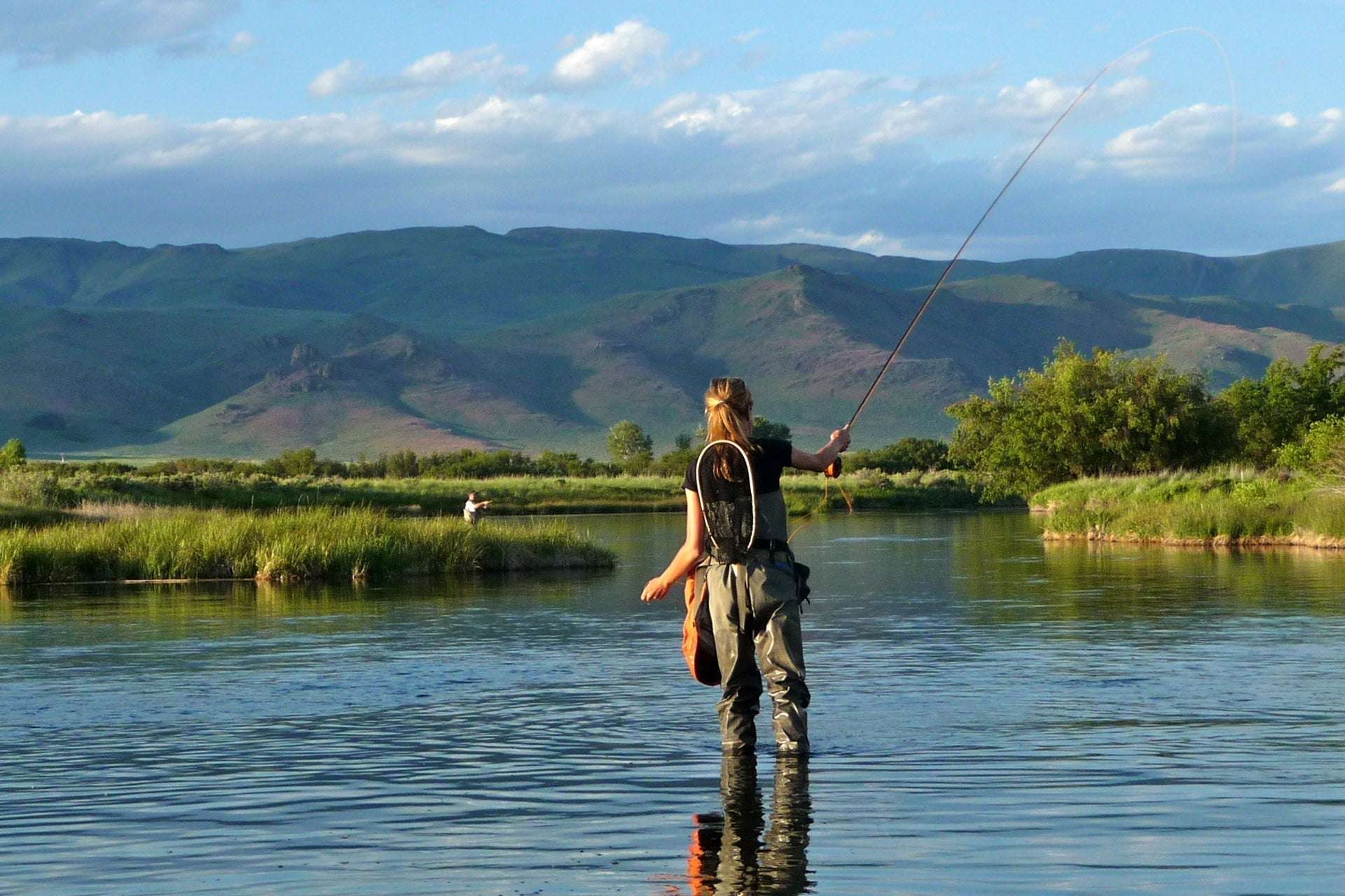 Adams Irresistible Classic Dry Fly - 1 Dozen Flies Hook Size 10