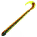 Ring Worm 4" -  Fire Tiger