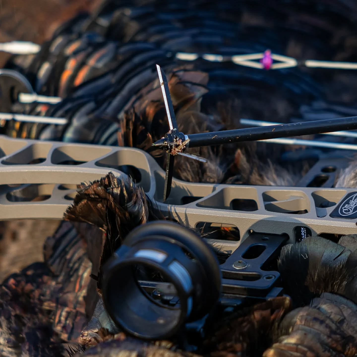 Bullhead 3-Blade Broadhead 3-Pack