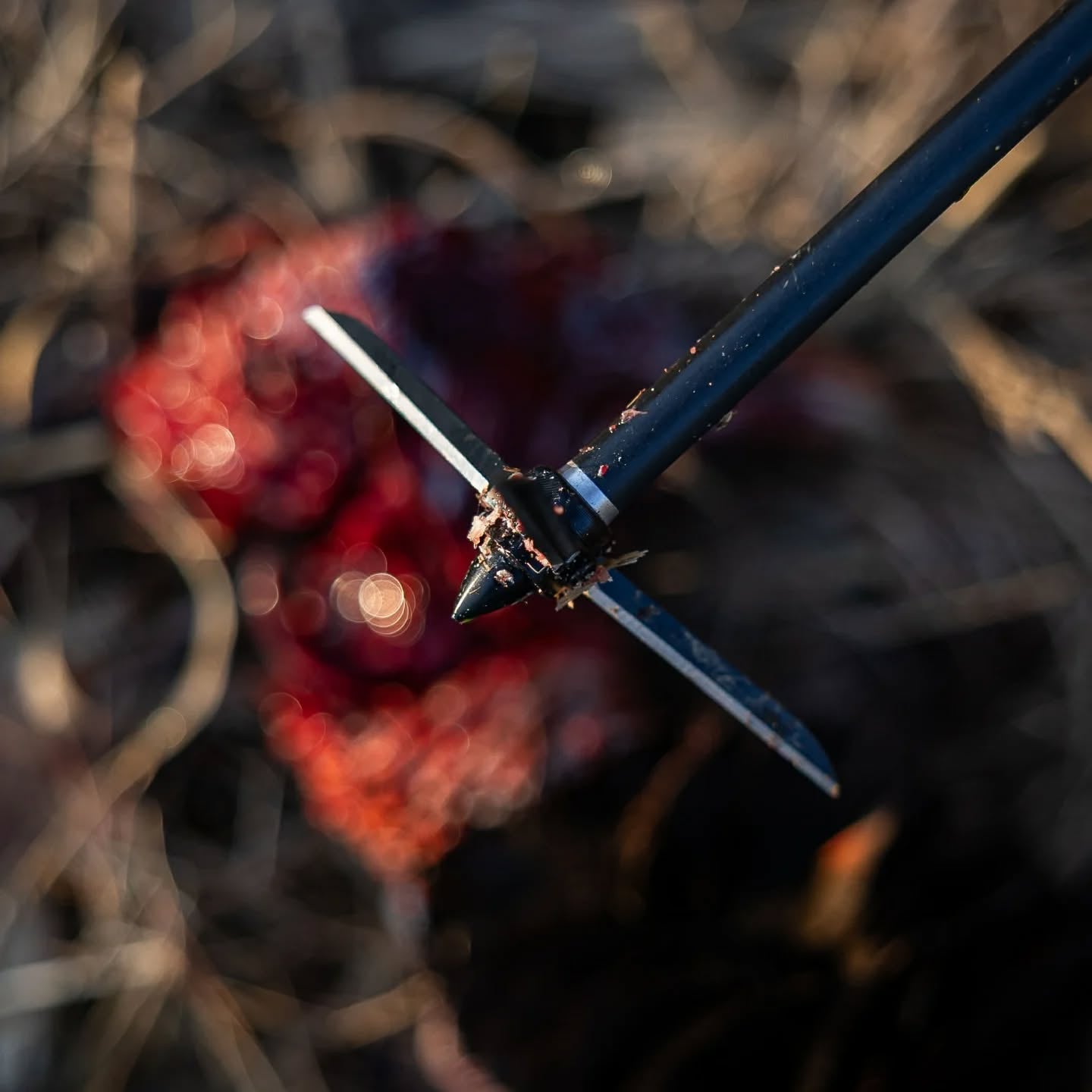 Bullhead 3-Blade Broadhead 3-Pack