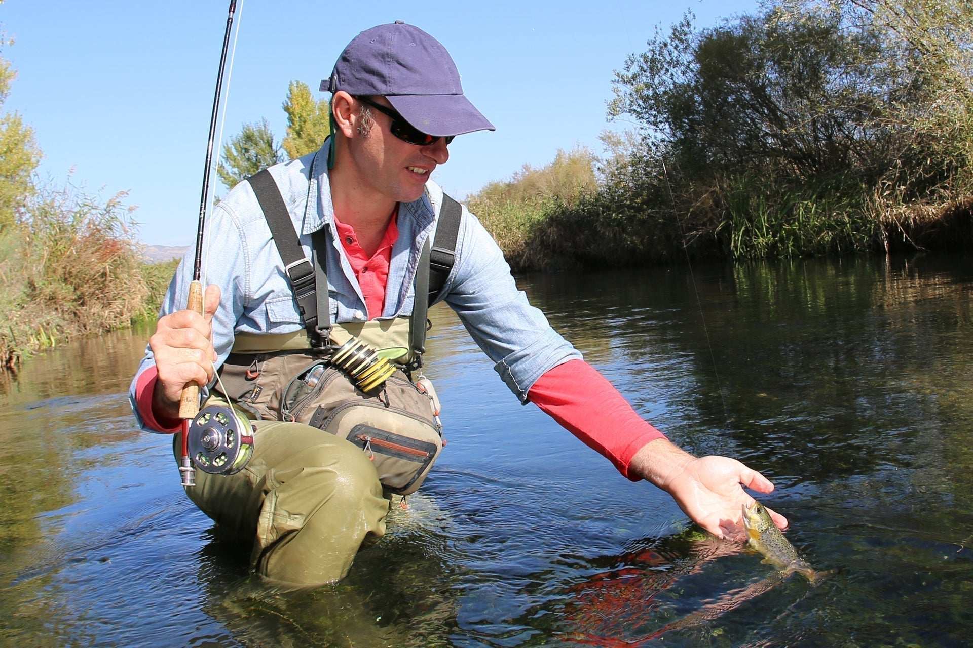 Improved Zelon Midge 12 Flies Hook Size 18