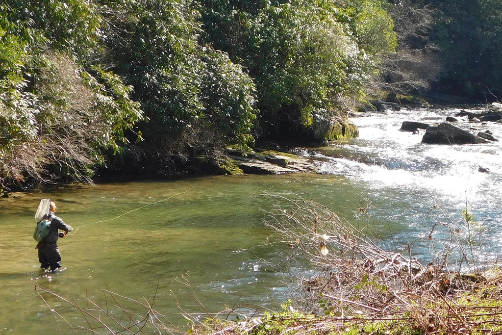LaFontaine Amber Deep Sparkle Caddis Pupa - 6 Flies Hook Size 16