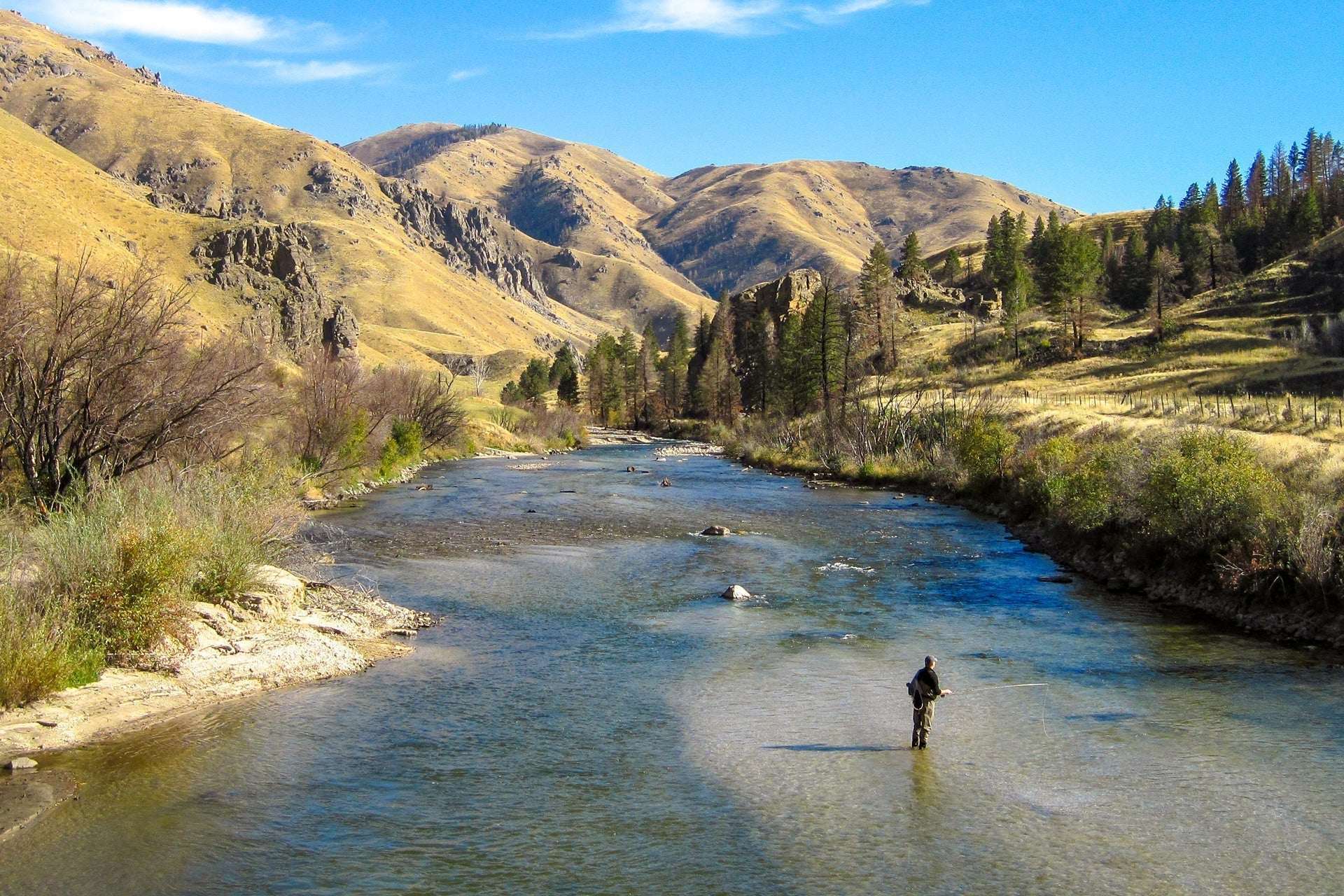 Bead Head Olive Brown Caddis Larva Nymph 6 Flies - Hook Size 12