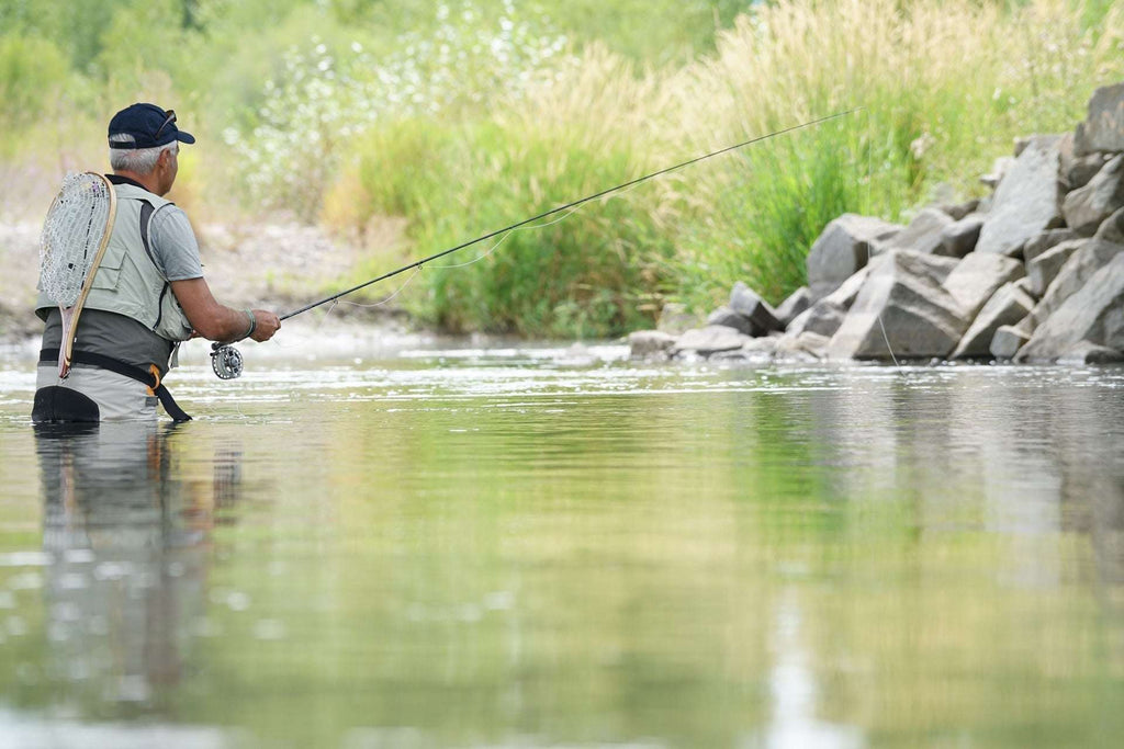 Olive Holy Grail Caddis Pupa Emerger 6 Flies Hook Size 16