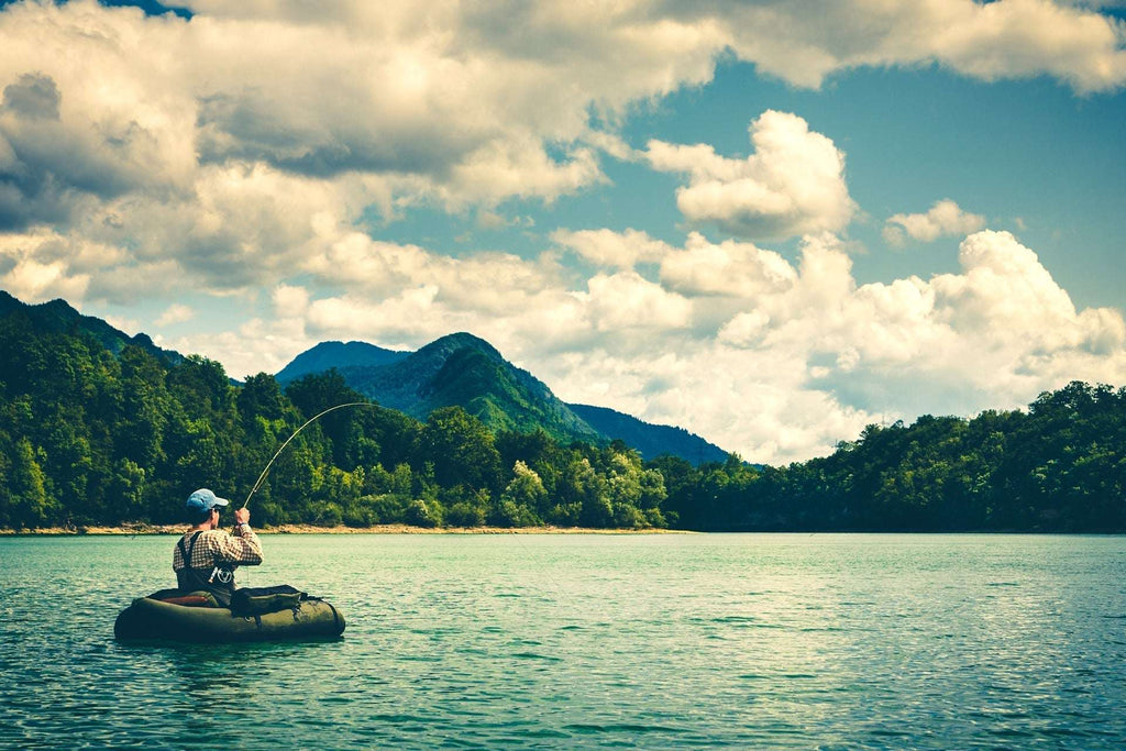 Black Holy Grail Caddis Pupa Emerger 6 Flies Hook Size 14