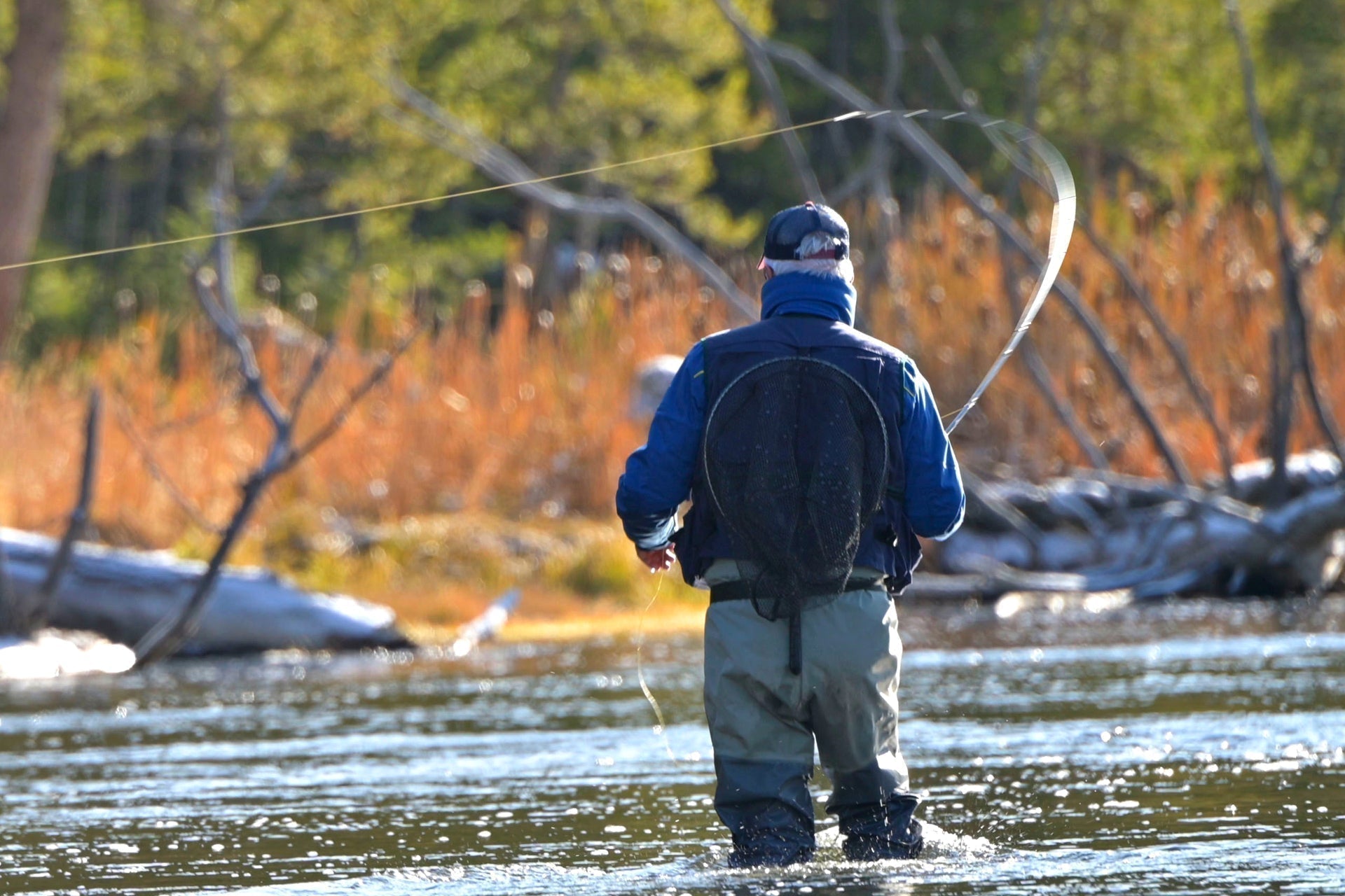 3 Pack Barbless Adams Classic Dry Fly - Hook Size 14