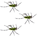 3 Pack Barbless Pat's Rubber Legs Tungsten Bead Jig Euro Nymph  - Hook Size 6