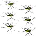 Barbless Pat's Barred Rubber Legs Tungsten Bead Jigged Black/Chartreuse Euro Nymph  - Set of 6 Flies Hook Size 6