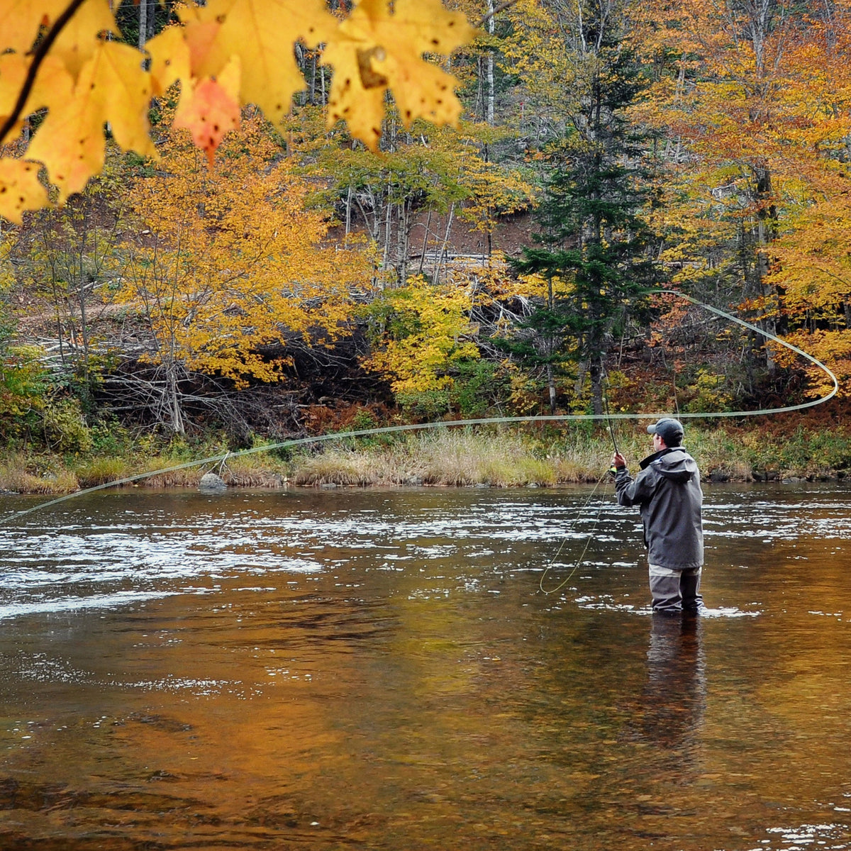 Orange Asher Midge Trout Dry Fly - 12 Flies Size 20