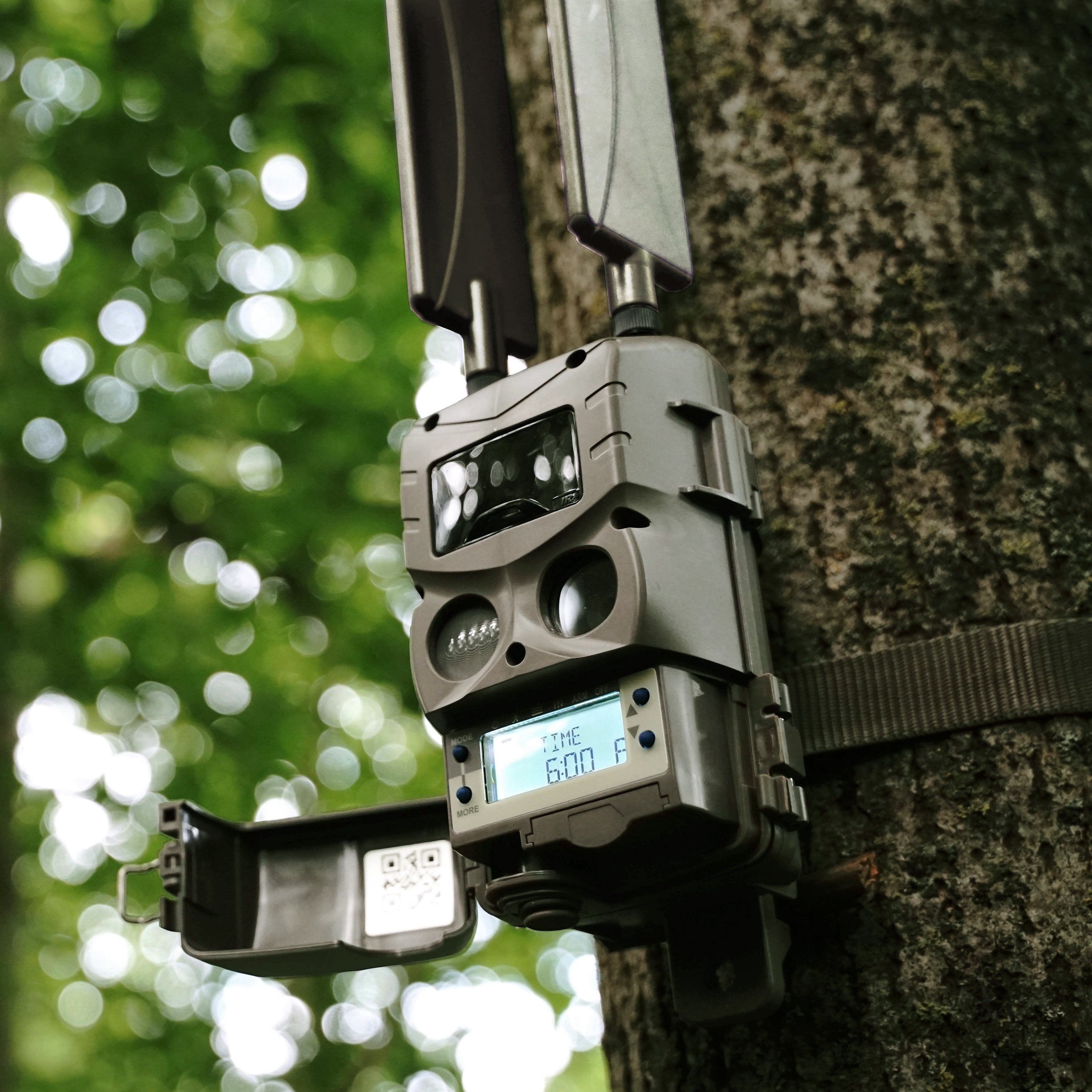 Cuddeback Tracks Camera
