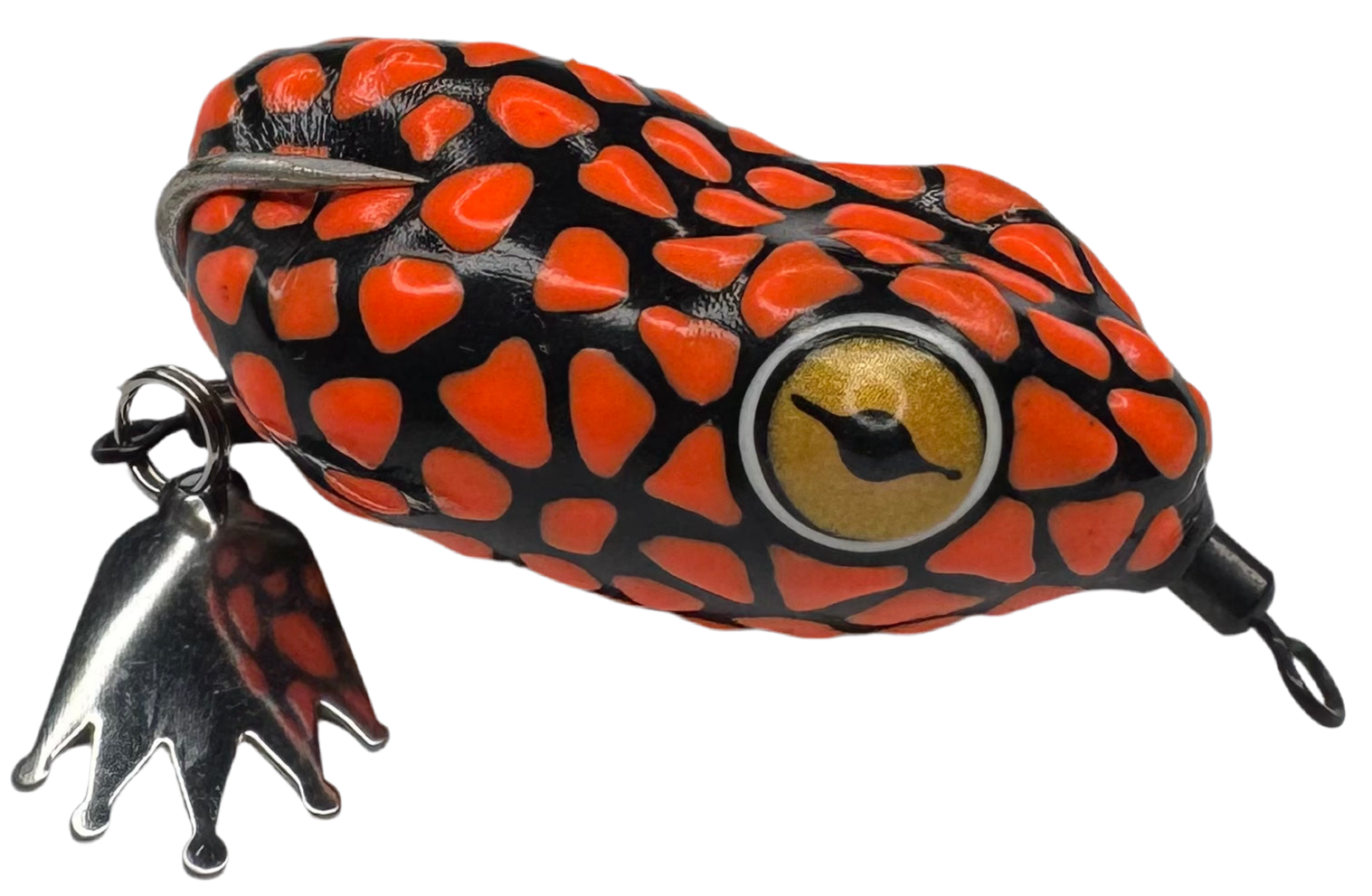 Pacman Frog
