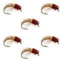 Bead Head Tan Brown Caddis Larva Nymph 6 Flies Hook Size 16