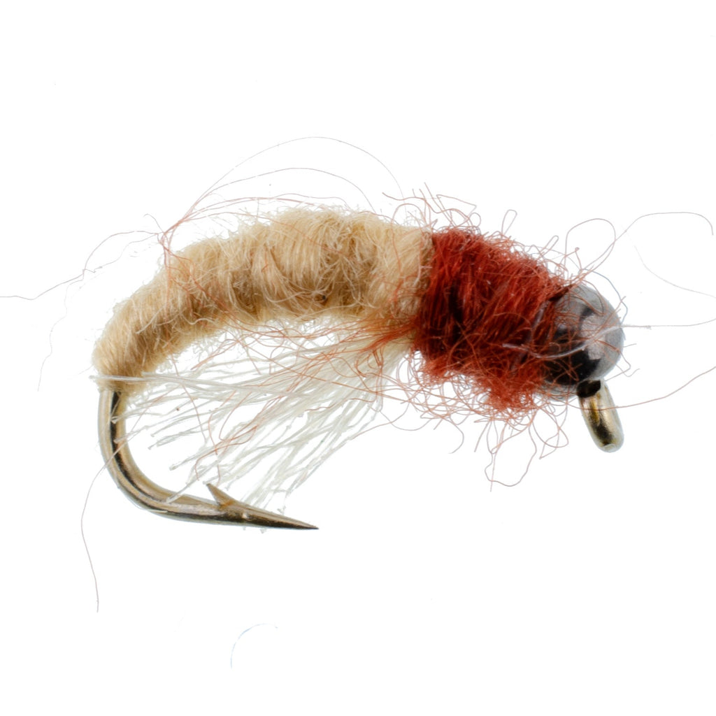 3 Pack Bead Head Tan Brown Caddis Larva Nymph Hook Size 14