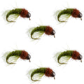 Bead Head Olive Brown Caddis Larva Nymph 6 Flies - Hook Size 16