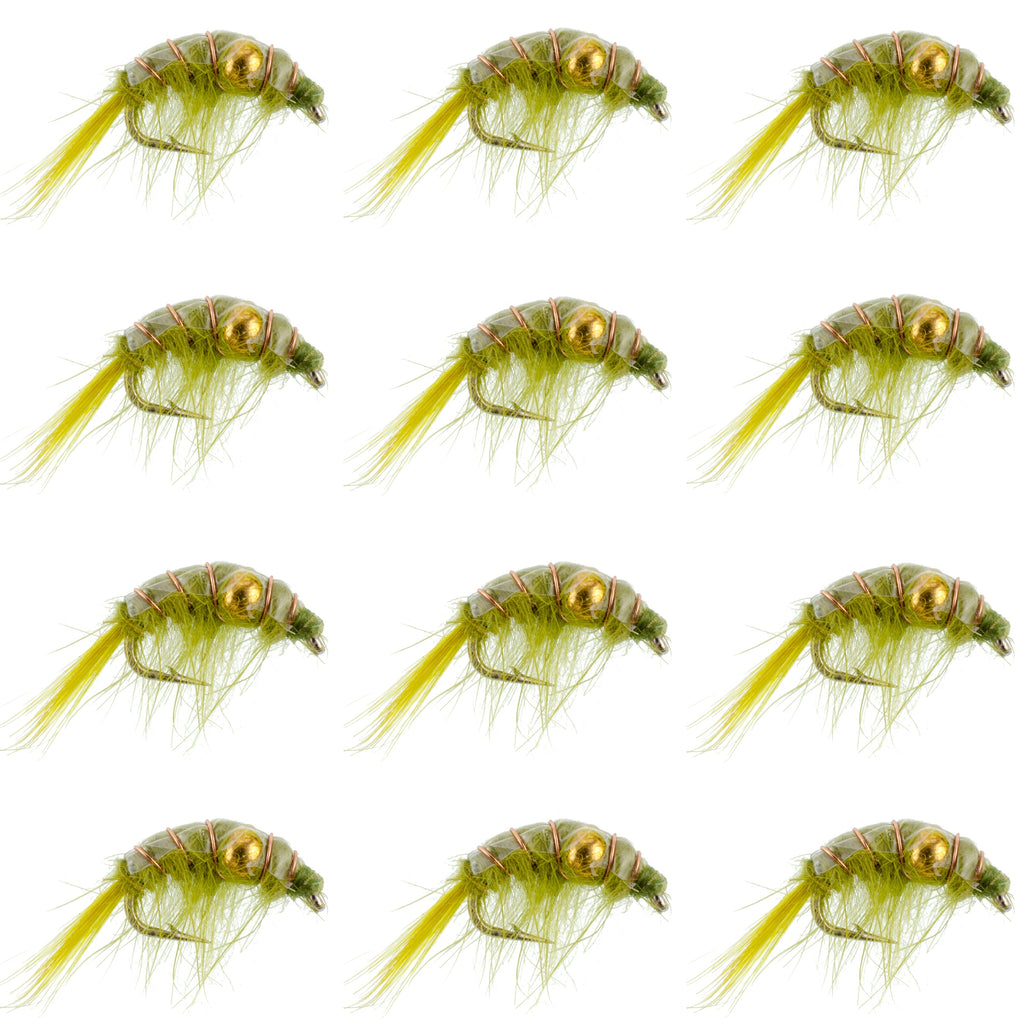 Olive Beaded Shrimp Scud Pattern - 1 Dozen Size 16 - Tailwater Lake Fly Fishing Nymph