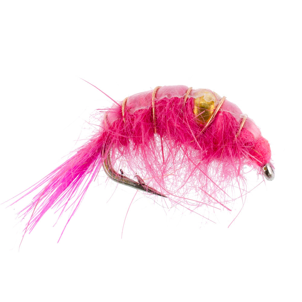 Pink Beaded Shrimp Scud Pattern - 6 Flies - Size 16 - Tailwater Lake Fly Fishing Nymph