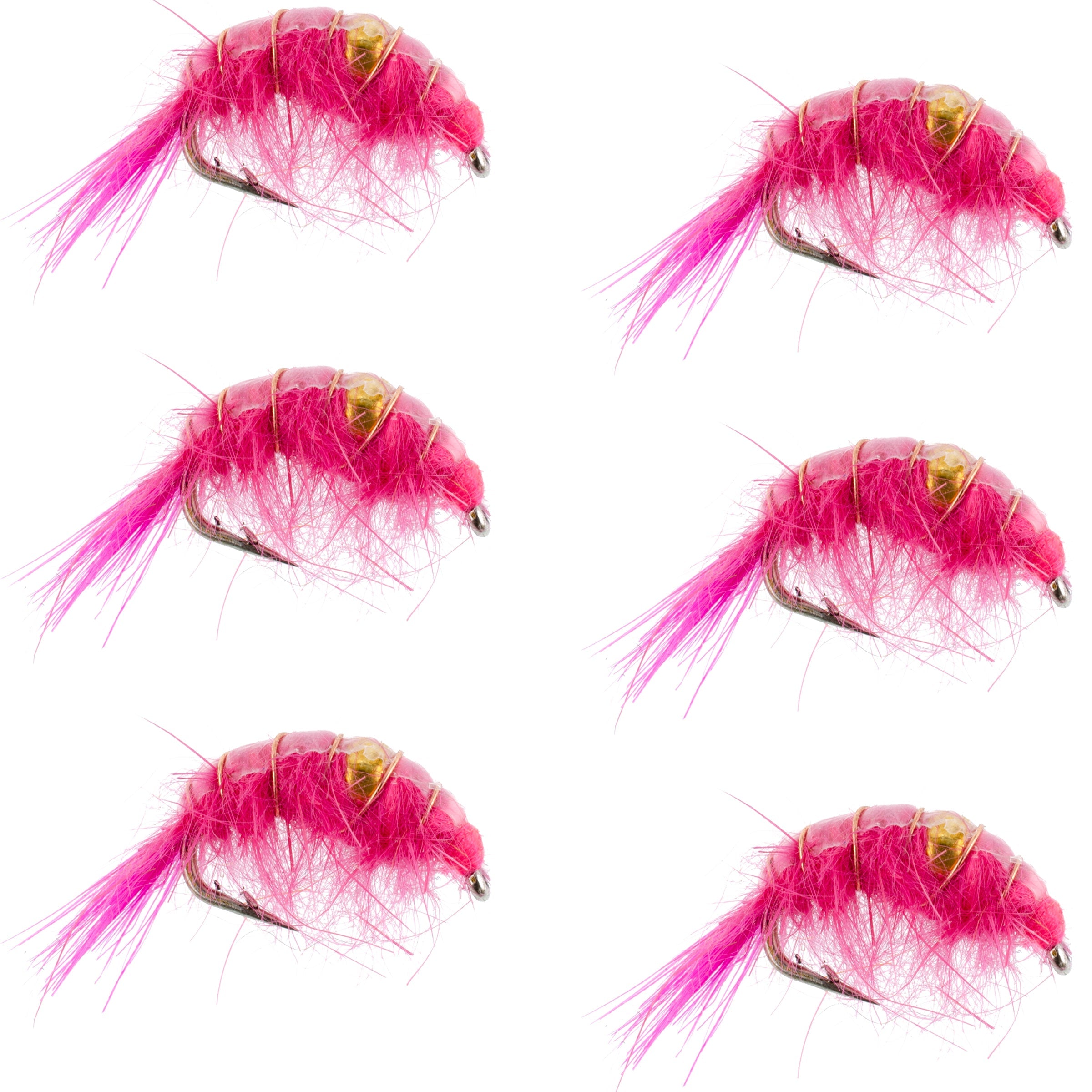 Pink Beaded Shrimp Scud Pattern - 6 Flies - Size 16 - Tailwater Lake Fly Fishing Nymph