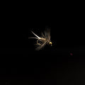 Beadhead Hare’s Ear Soft Hackle