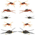 Basics Collection - Kaufmann's Tungsten Bead Stonefly Nymph Assortment - 10 Bead Head Rubber Legs Wet Flies - 5 Patterns - Hook Sizes 4, 6, 8, 10, and 12
