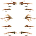 Basics Collection - Bead Head Pheasant Tail Nymph Assortment - 10 Wet Flies - Hook Sizes 14, 16, 18