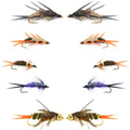 Basics Collection - Double Bead Head Nymph Assortment - 10 Wet Flies - 5 Patterns - Hook Size 8