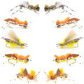 Basics Collection - Foam Hoppers Dry Fly Assortment - 10 Dry Fishing Grasshopper Flies - 5 Patterns - Hook Size 10