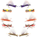 Basics Collection - Chernobyl Ant Foam Dry Fly Assortment - 10 Dry Fishing Grasshopper Flies - 5 Patterns - Hook Size 10