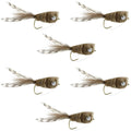 Natural Deer Hair and Grizzly Bass Popper 6 Flies Hook Size 8 Bass Fly Fishing Bug Wide Gape Bass Hooks With Weed Guard