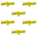 Flashtail Bass Popper  6 Flies Size 8 - Yellow Bass Fly Fishing Bug Wide Gape Bass Hooks With Weed Guard