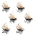 Black Elk Hair Caddis Classic Trout Dry Fly - Set of 6 Flies Size 10