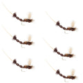 Brown Para Drake Extended Body Dry Fly - 6 Flies Size 12