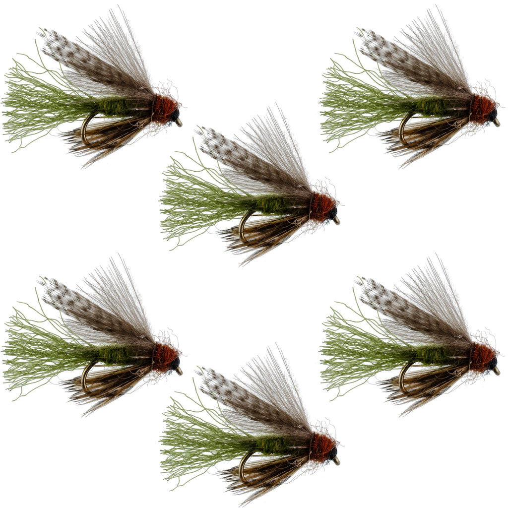 Olive CDC Caddis Emerger 6 Flies Hook Size 16