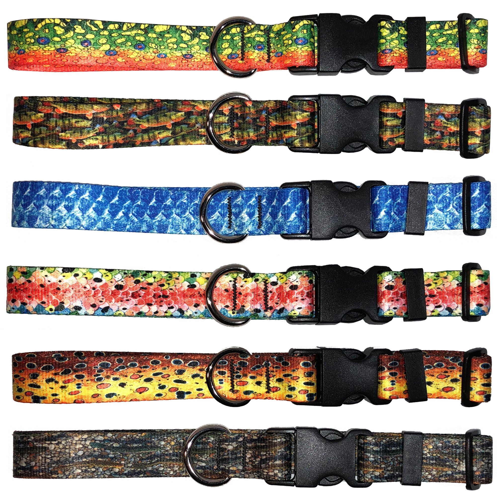 Brown Trout2 Dog Collar