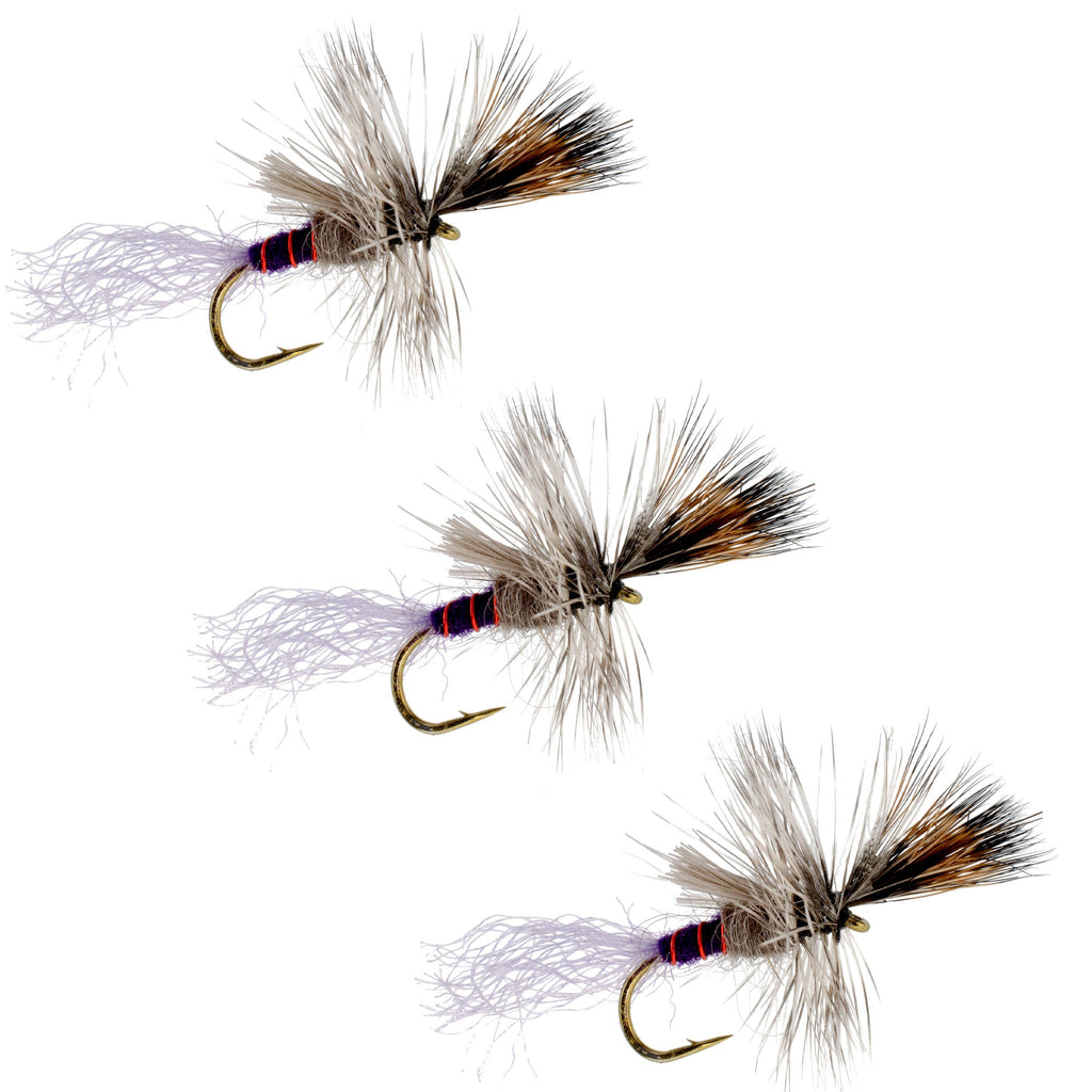 3 Pack Purple Haze Cripple Mayfly Hook Size 16