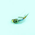 Rainbow Warrior- Finatics Fly Company