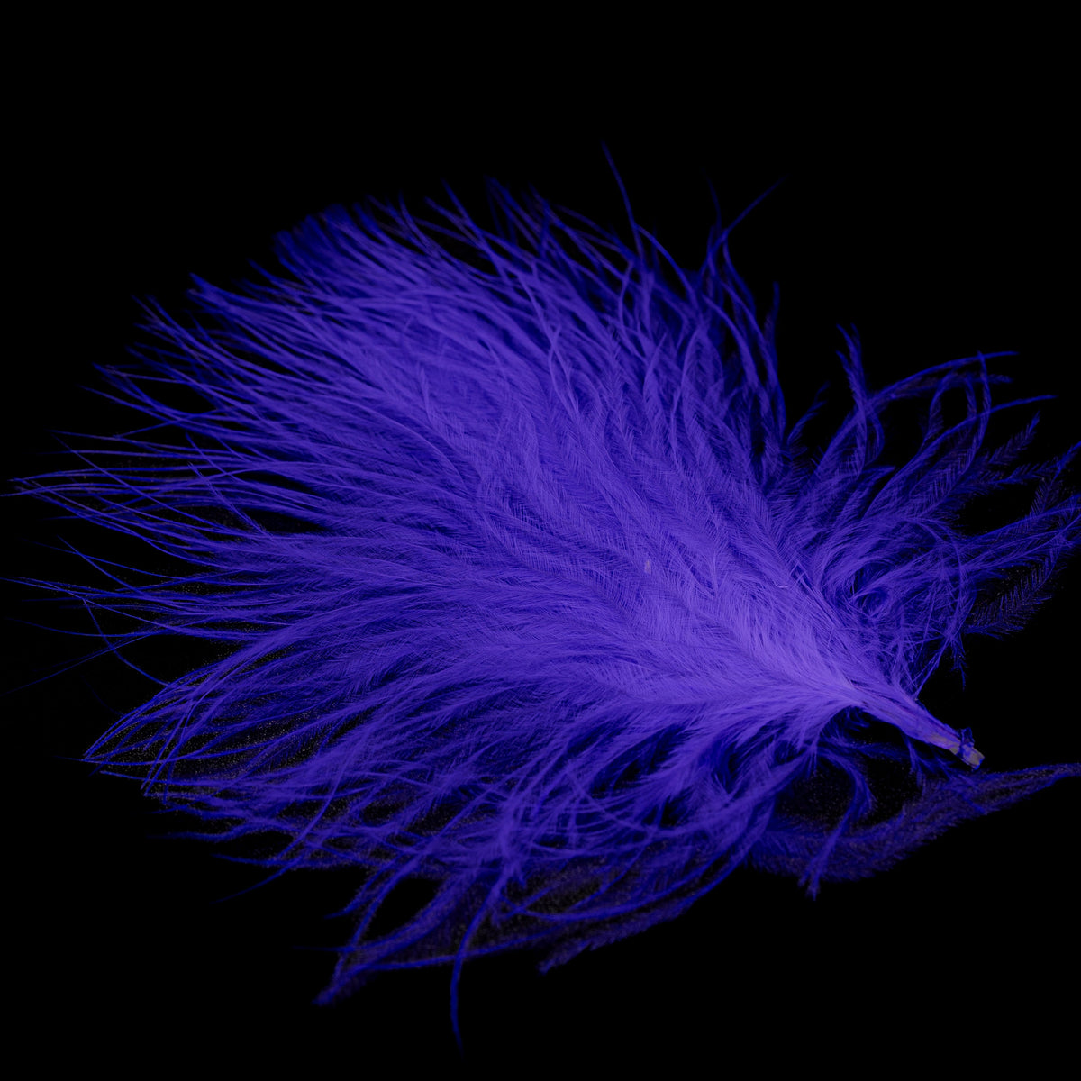 Finatics Premium Loose Marabou – 3" to 5" Plumes- Finatics Fly Company