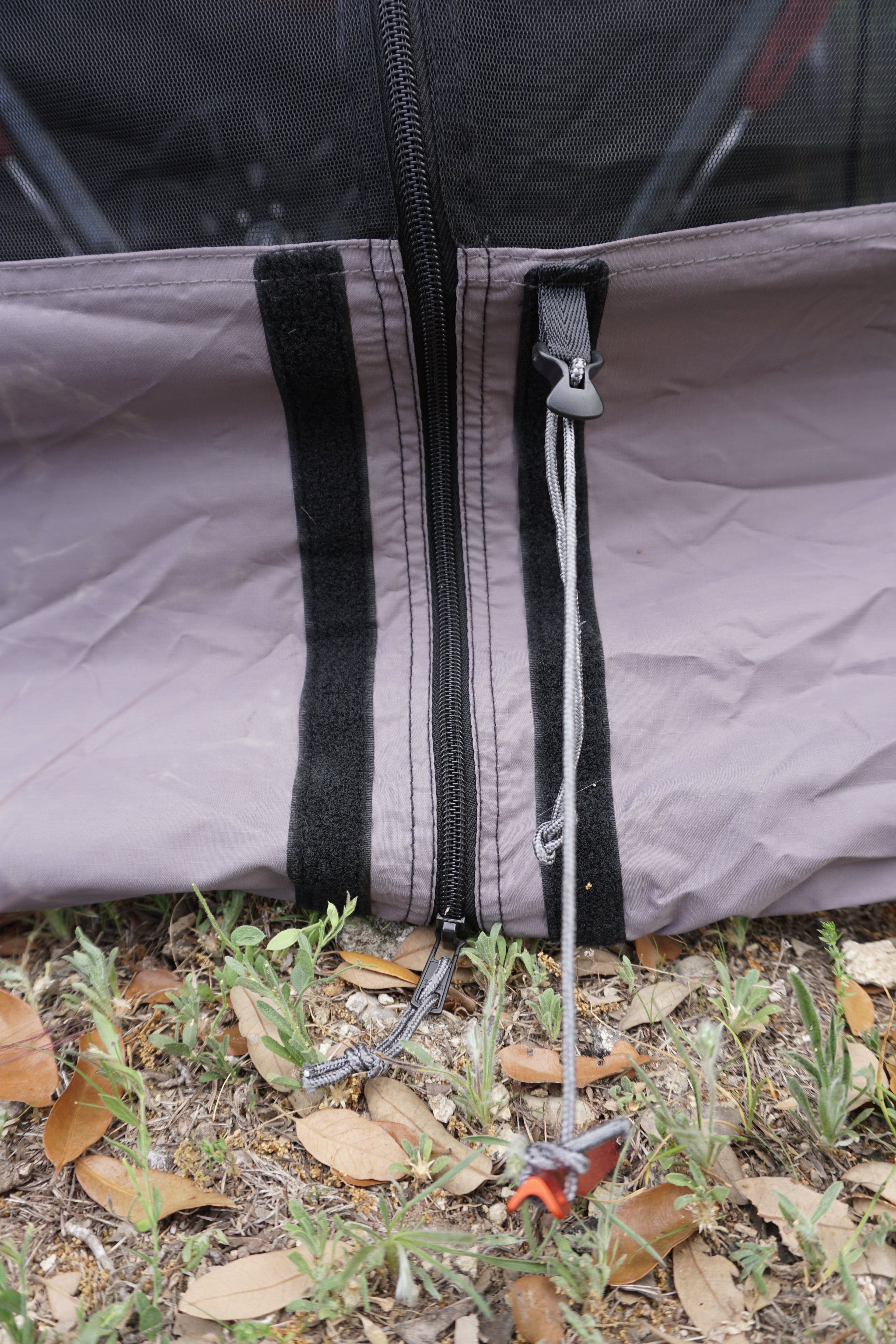 Crosswing Bug Room