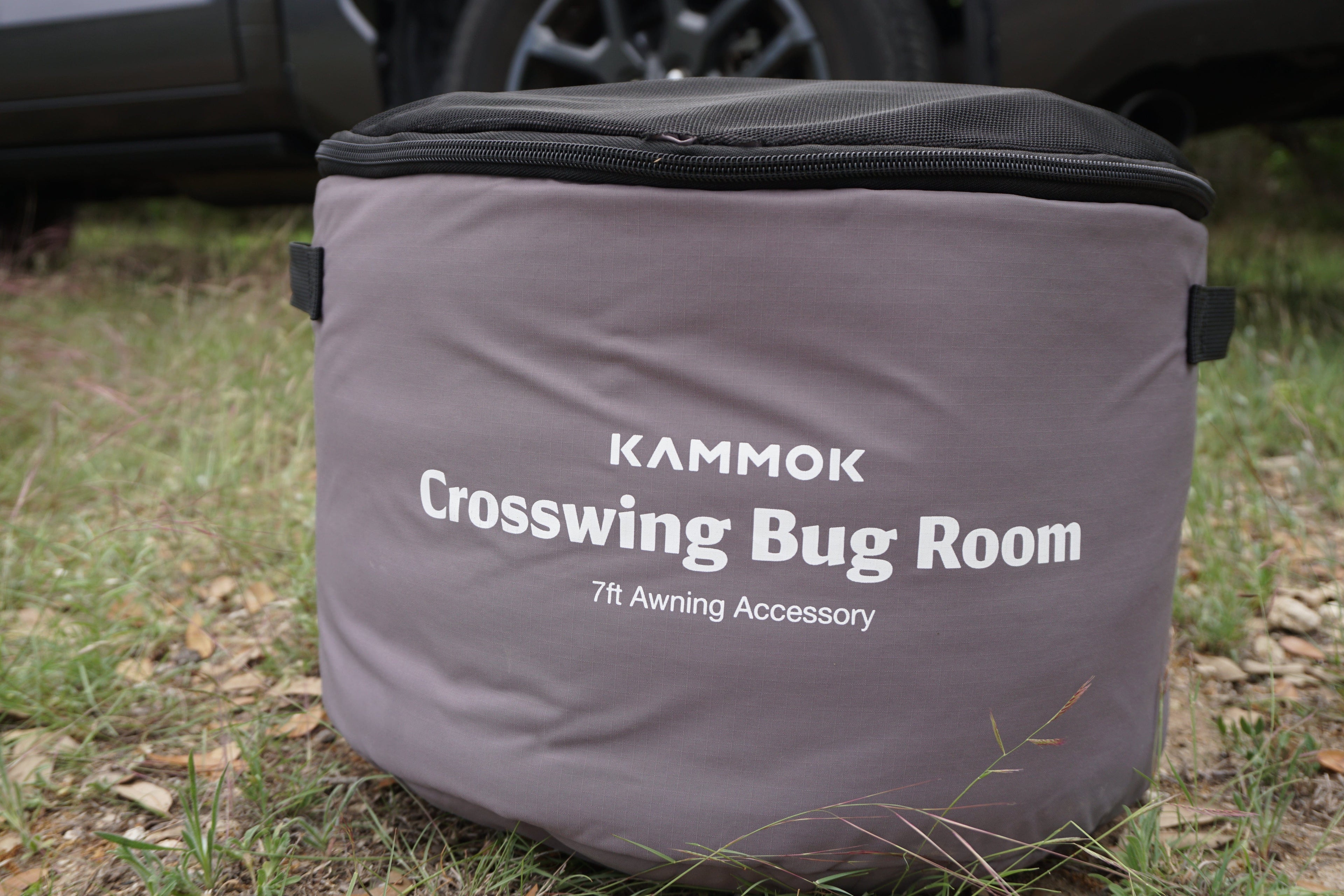 Crosswing Bug Room