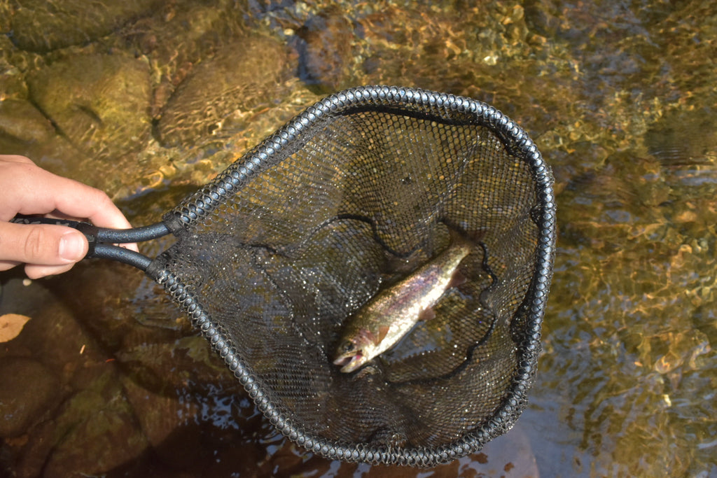 Native Brook Net