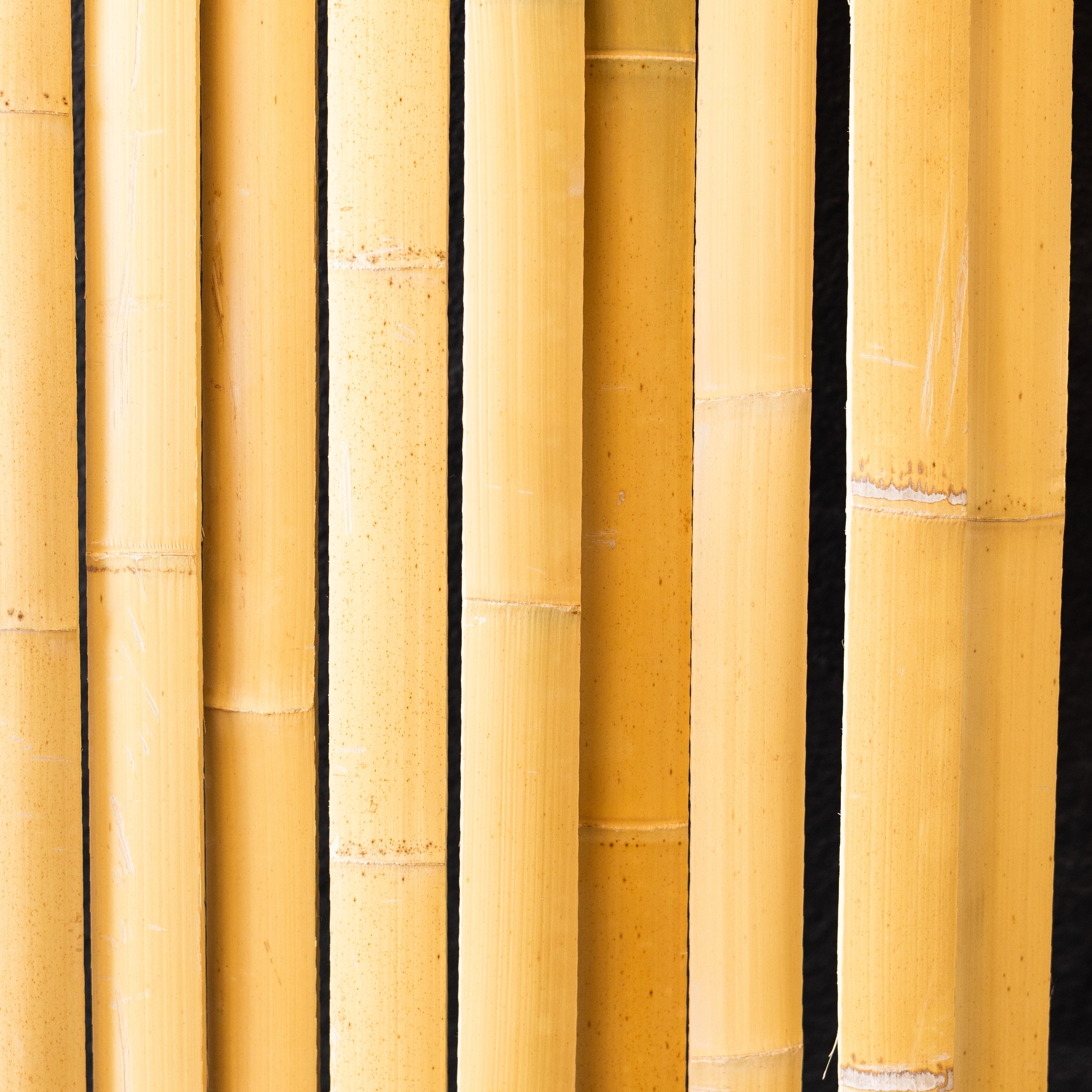Bamboo Slat For Bow Making 72" Long