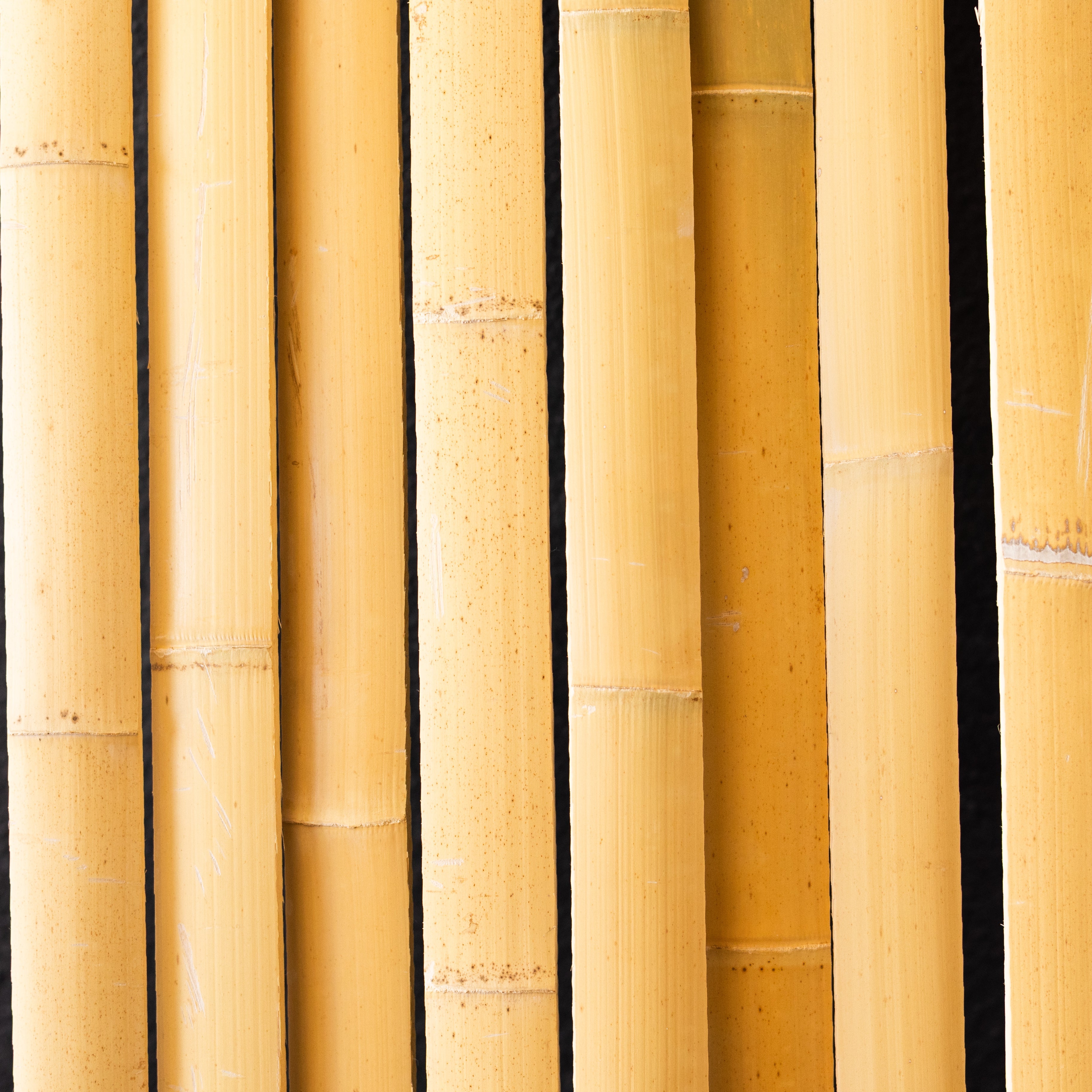 Bamboo Slat For Bow Making 72" Long