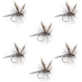Dark Hendrickson Classic Dry Fly - 6 Flies Size 14