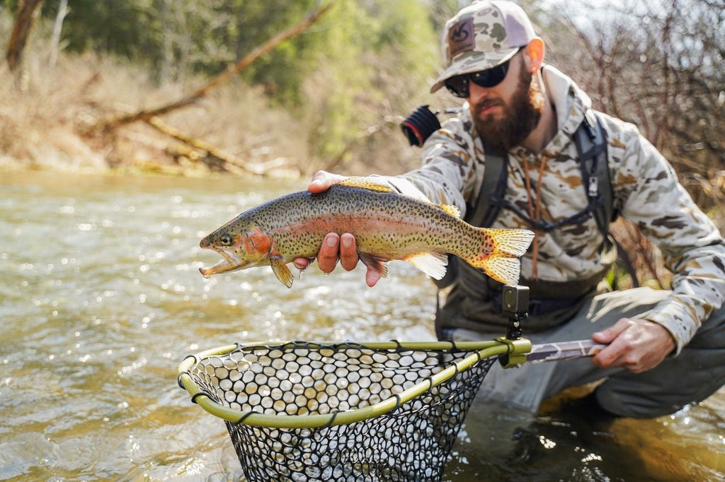 Catch Cam Creek Net