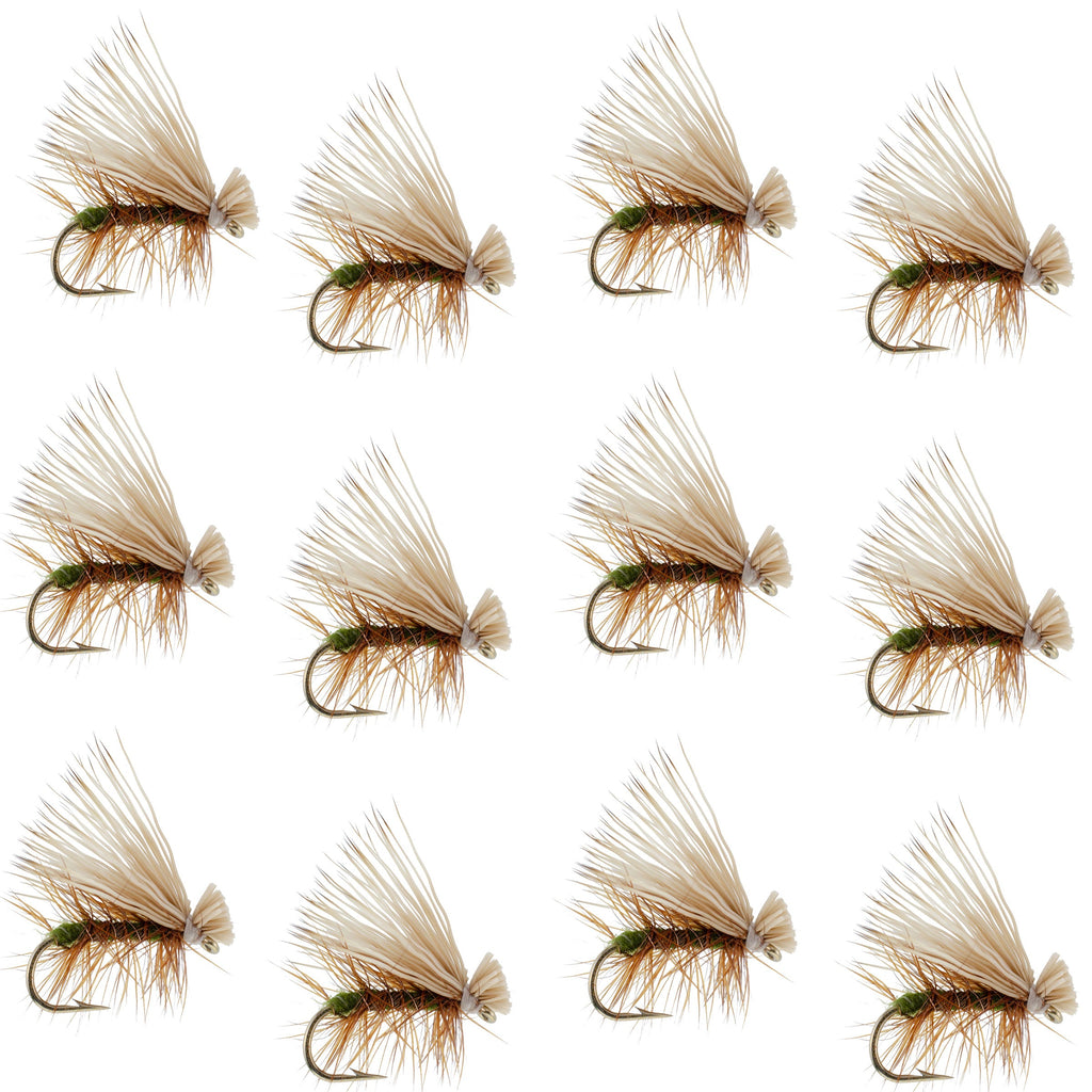 Olive Elk Hair Caddis Classic Trout Dry Fly - Set of 12 Flies Size 14